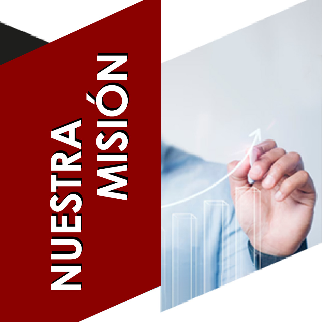 Misión